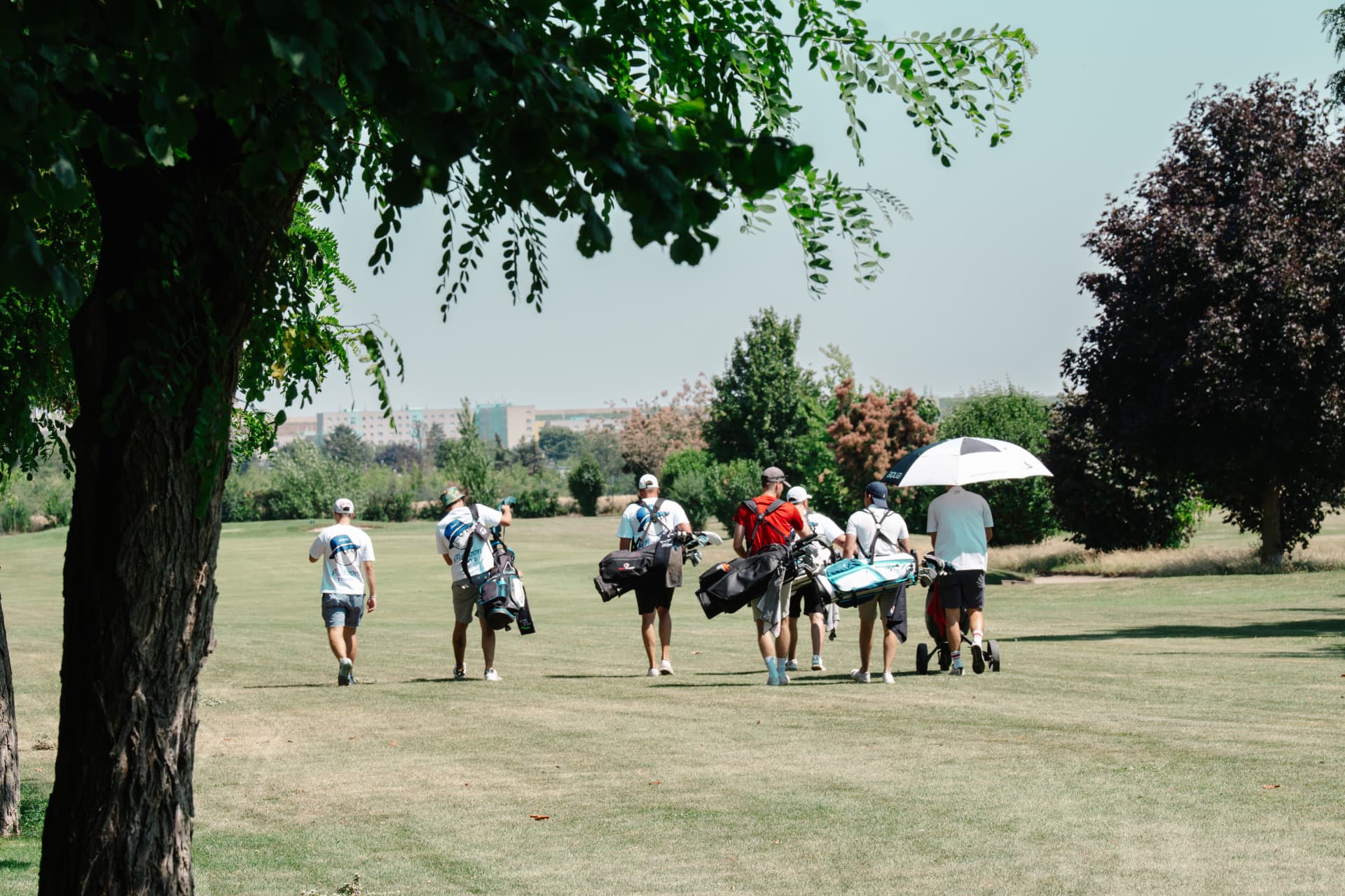 Golfteams mit Bags und Trolleys auf dem Fairway einer Runde