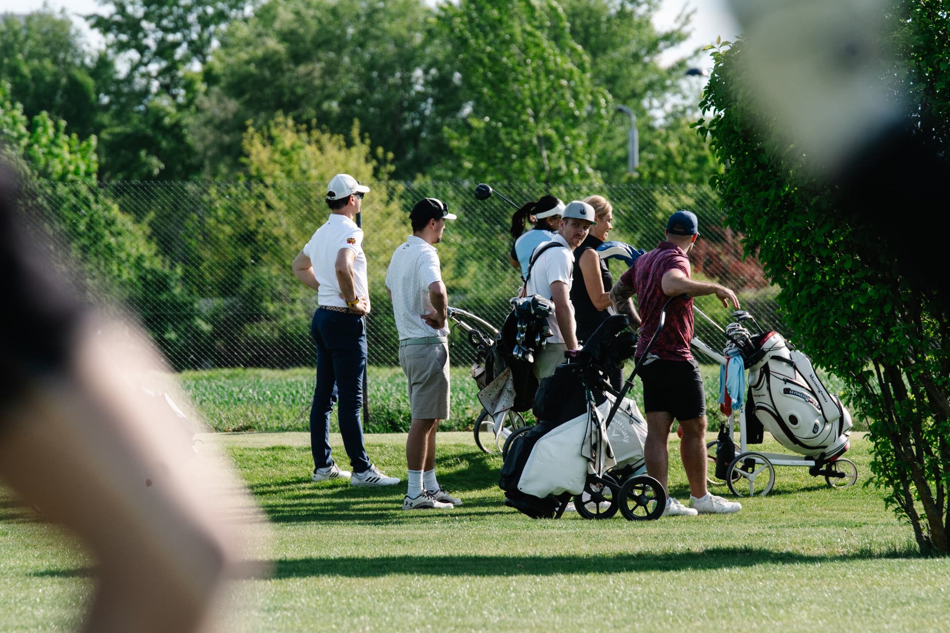 Spielergruppe mit Golftrolleys wartet am Abschlag während einer Runde